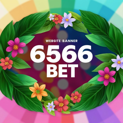 6566bet